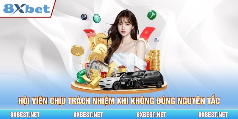 Hội viên hoàn toàn chịu trách nhiệm khi thực hiện không đúng nguyên tắc