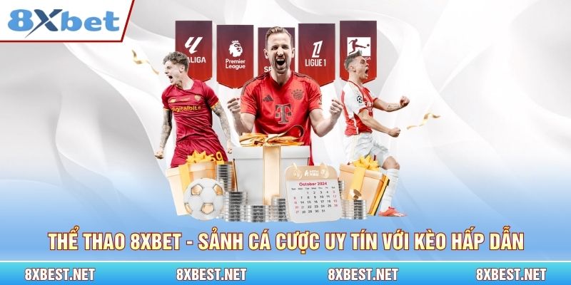 Thể thao 8xbet