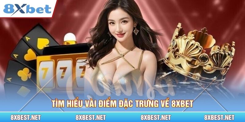 Tìm hiểu vài điểm đặc trưng về 8xbet