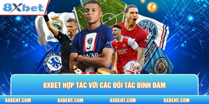 8XBET hợp tác với các đối tác đình đám